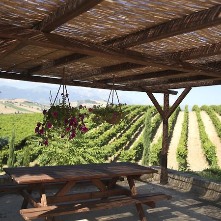 Contado San Lorenzo B&B And Wine Castilenti Zewnętrze zdjęcie