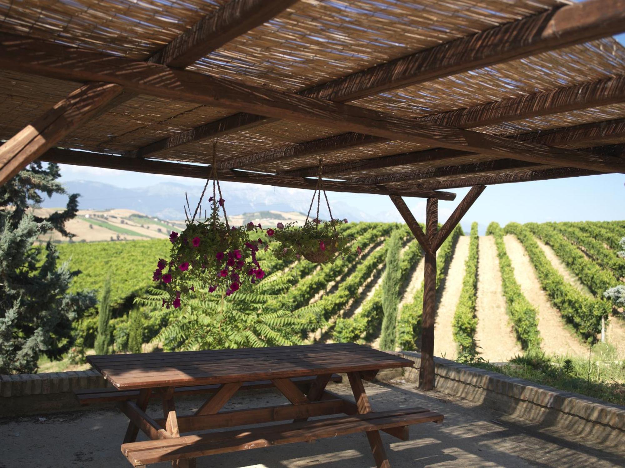 Contado San Lorenzo B&B And Wine Castilenti Zewnętrze zdjęcie