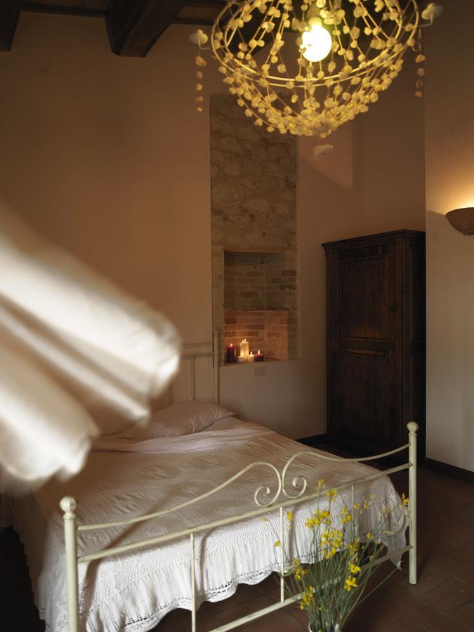 Contado San Lorenzo B&B And Wine Castilenti Zewnętrze zdjęcie