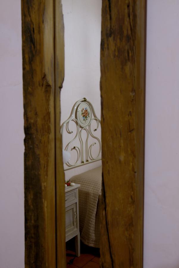 Contado San Lorenzo B&B And Wine Castilenti Zewnętrze zdjęcie